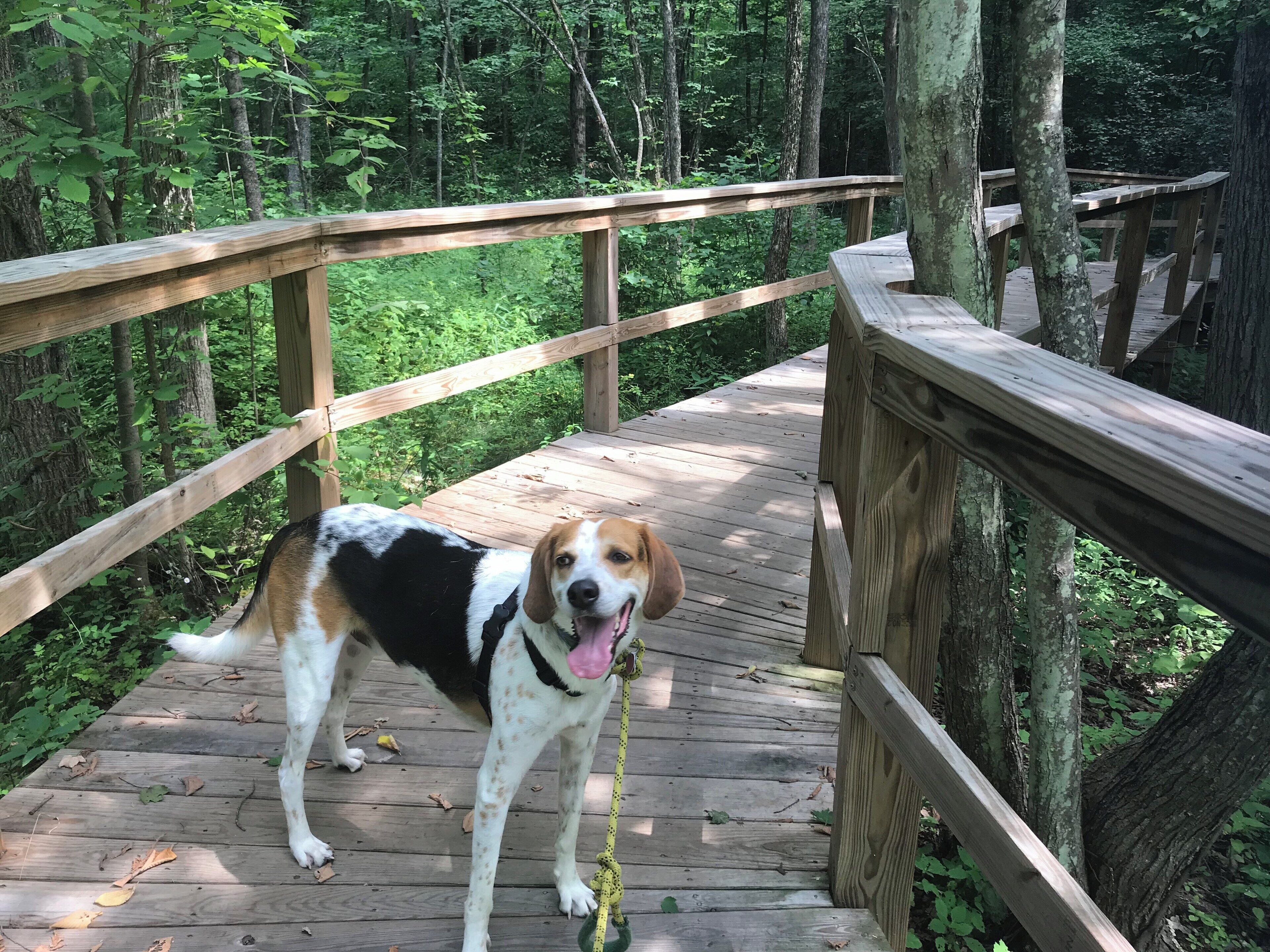 Really perfect spot for a small stroll around various gardens. Well marked trails. Bring bugspray :)
