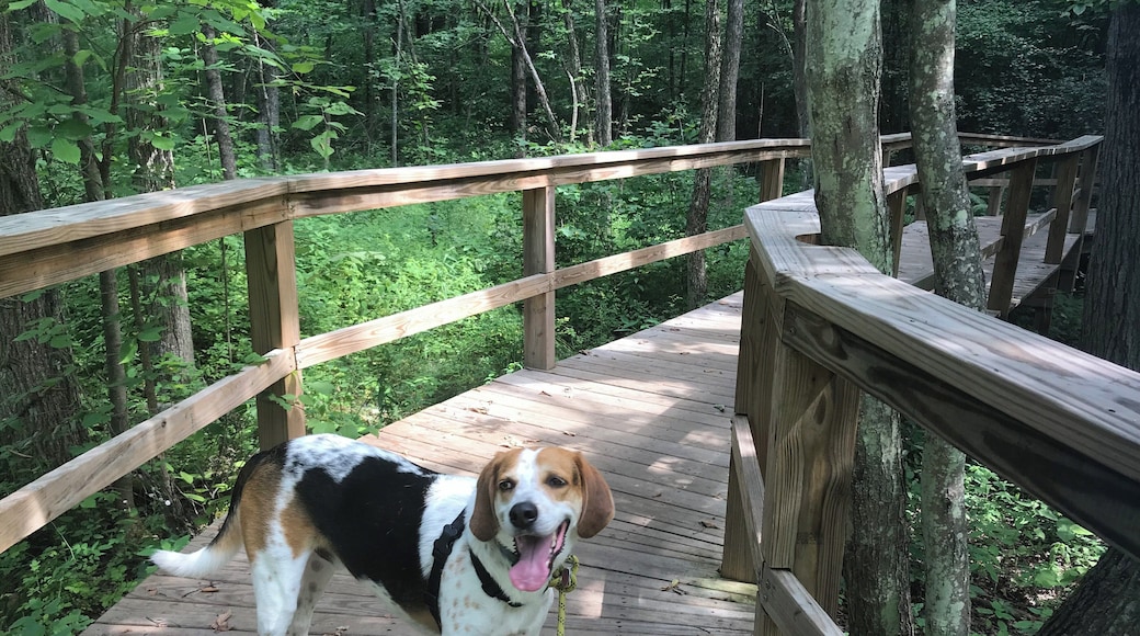 Really perfect spot for a small stroll around various gardens. Well marked trails. Bring bugspray :)