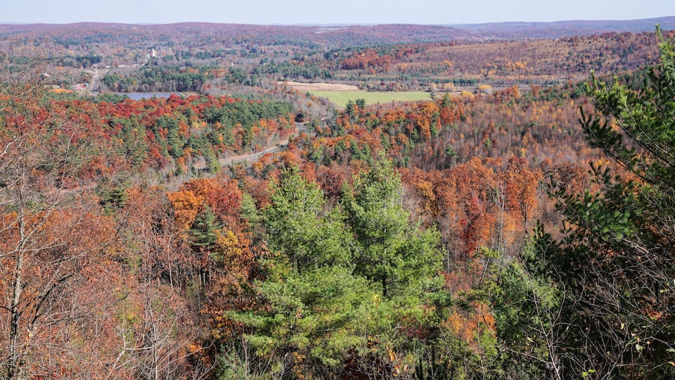 A forested valley with autumn foliage, a river, and distant hills.