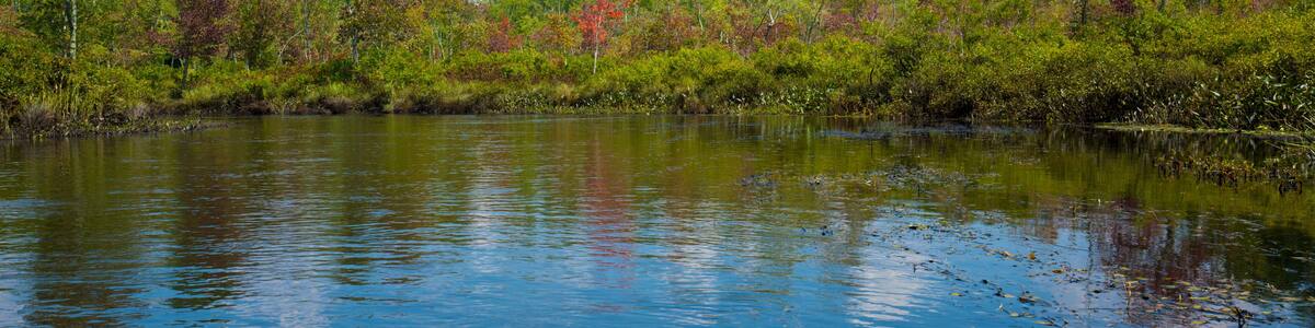 Kayak on Quinebaug River Canoe Trail in East Brimfield, Massachusetts.