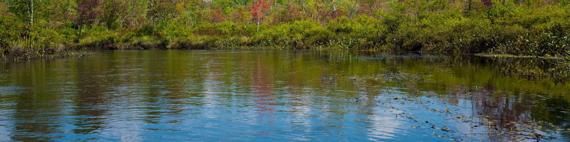 Kayak on Quinebaug River Canoe Trail in East Brimfield, Massachusetts.