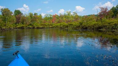 Kayak on Quinebaug River Canoe Trail in East Brimfield, Massachusetts.