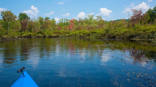 Kayak on Quinebaug River Canoe Trail in East Brimfield, Massachusetts.
