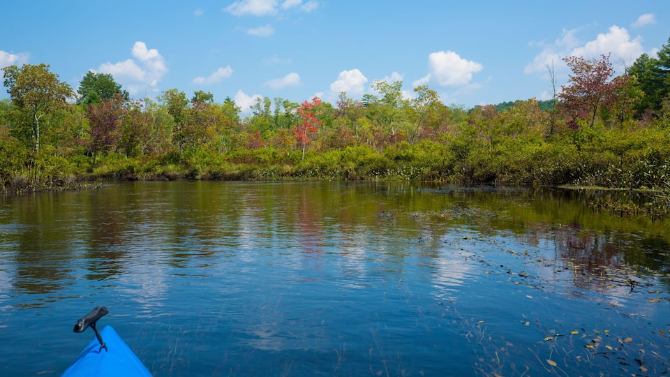 A calm river with a blue kayak in the foreground, surrounded by autumn-colored trees and a clear blue sky.