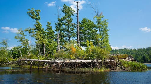 Island in the Quinebaug River Canoe Trail in Brimfield, Massachusetts.