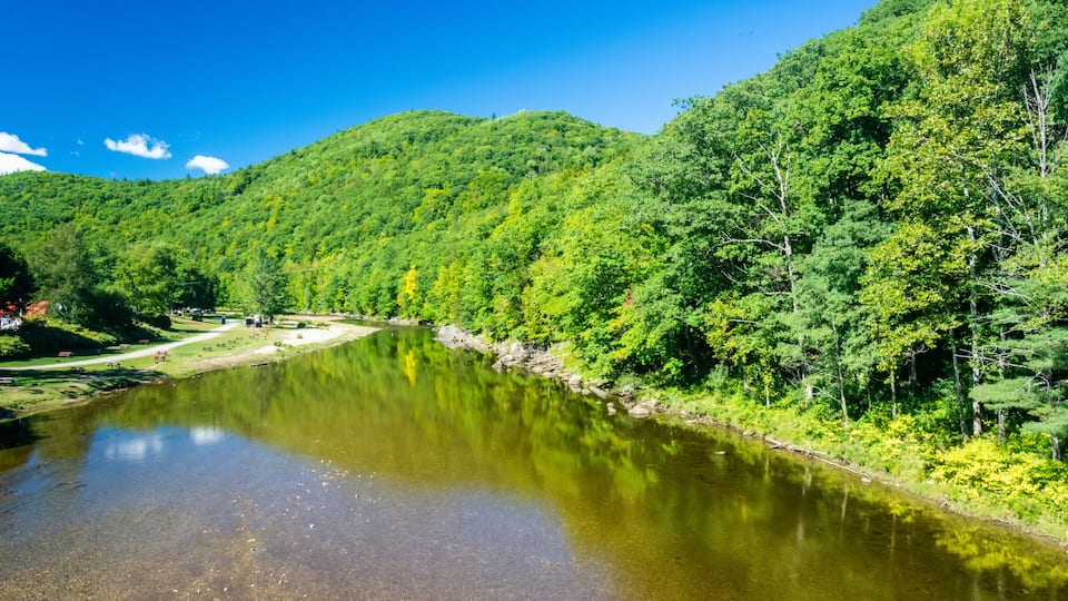 A river winding through a forested valley with hills in the background.