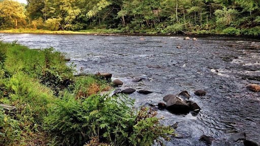 The Deerfield River near Charlemont