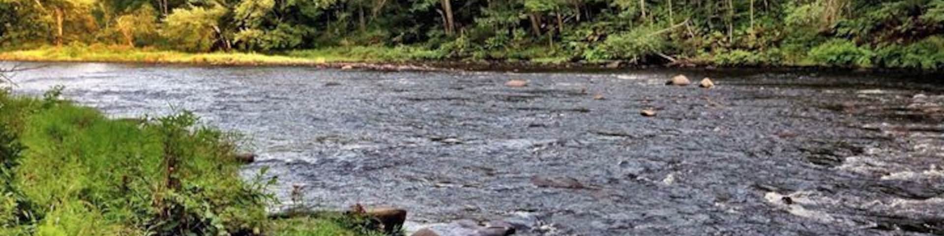 The Deerfield River near Charlemont