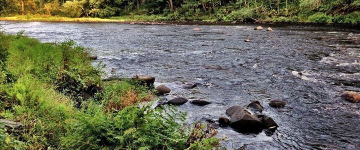 The Deerfield River near Charlemont