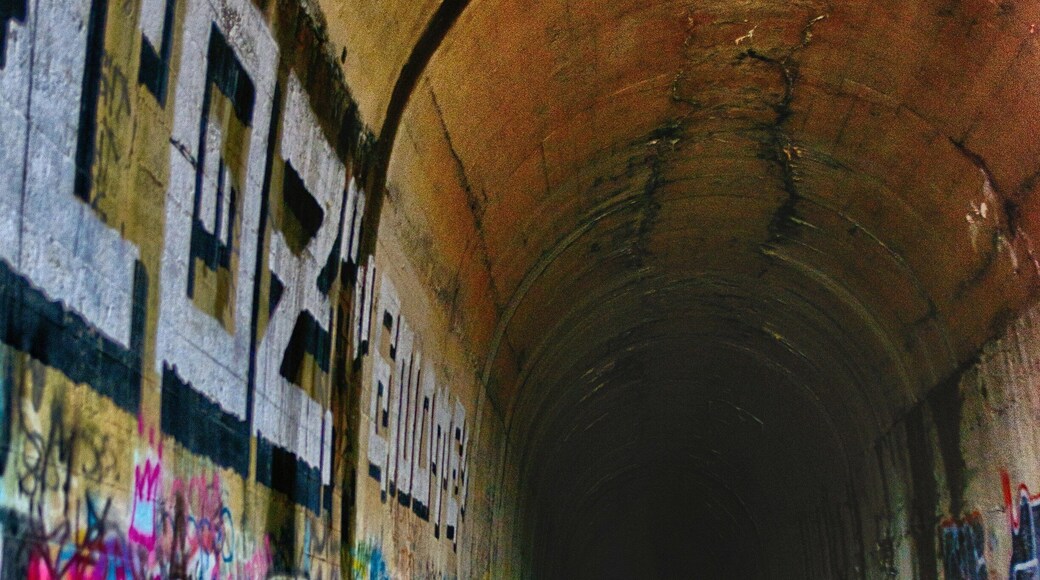 Pretty cool little tunnel. Bring a flashlight! 😊