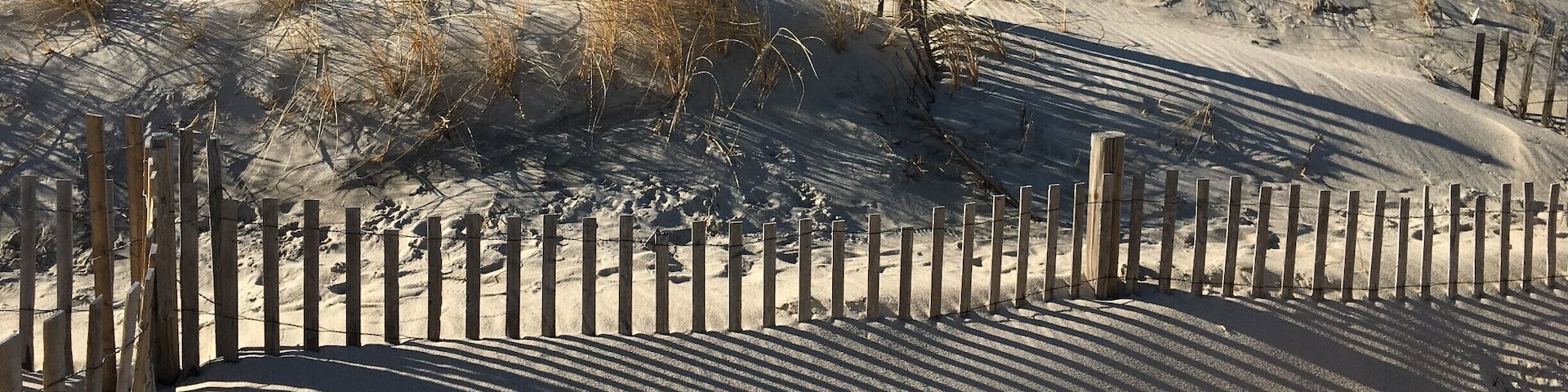 A sandy beach with a wooden fence and sparse vegetation.