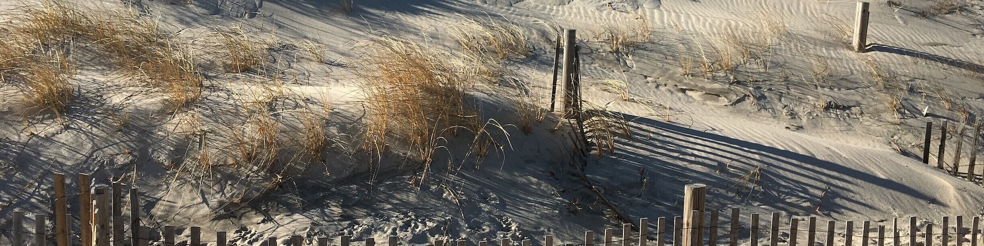 Una playa arenosa con un cerco de madera y vegetación escasa.