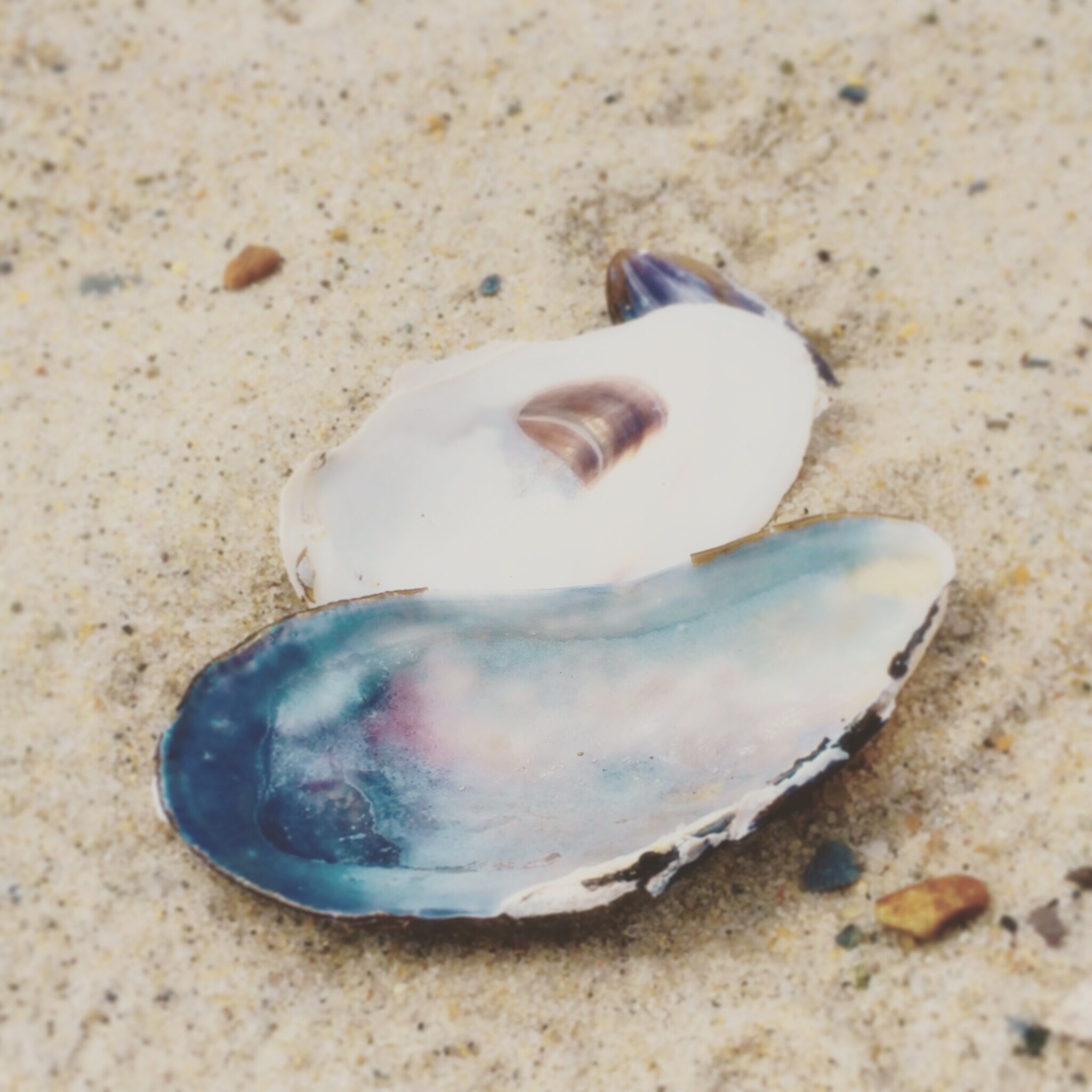 The best beach on Cape 