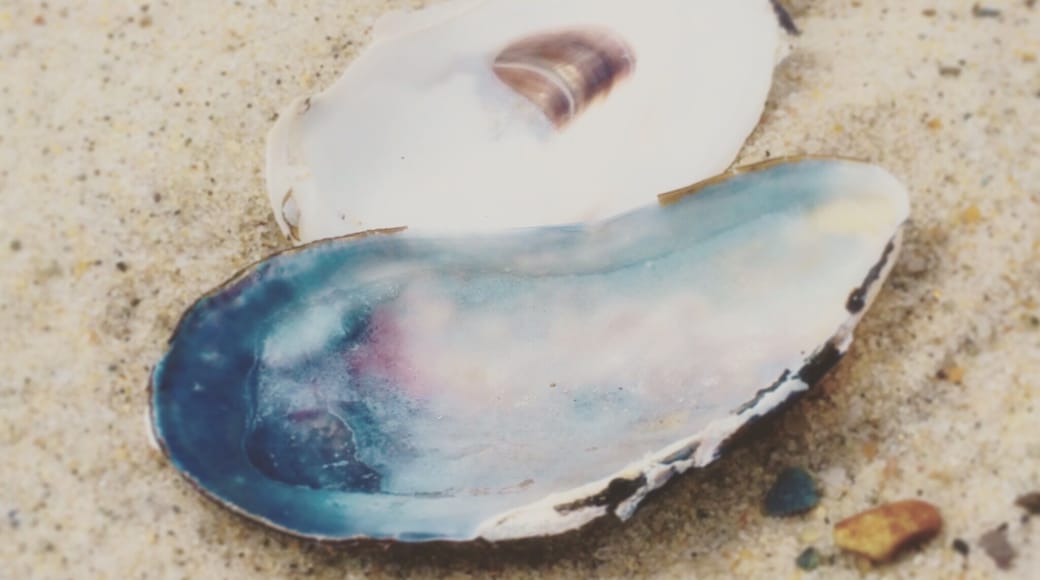 The best beach on Cape