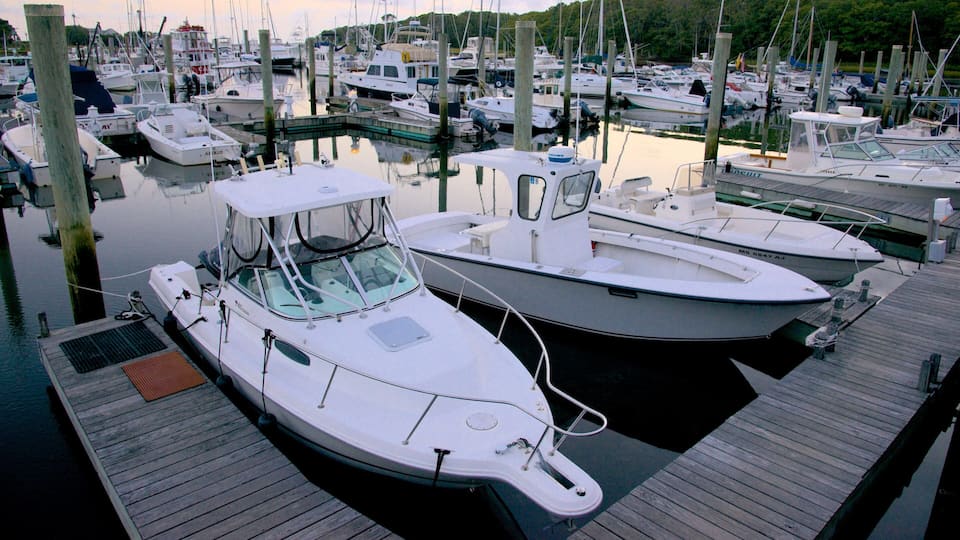 A marina with several white boats docked at wooden piers.