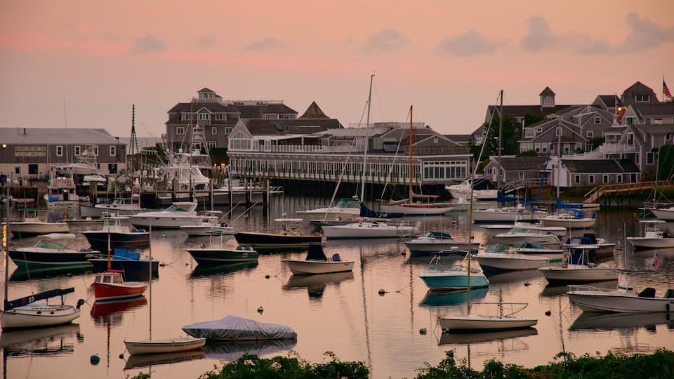 A marina with various boats docked, surrounded by houses and a pier extending into the water.