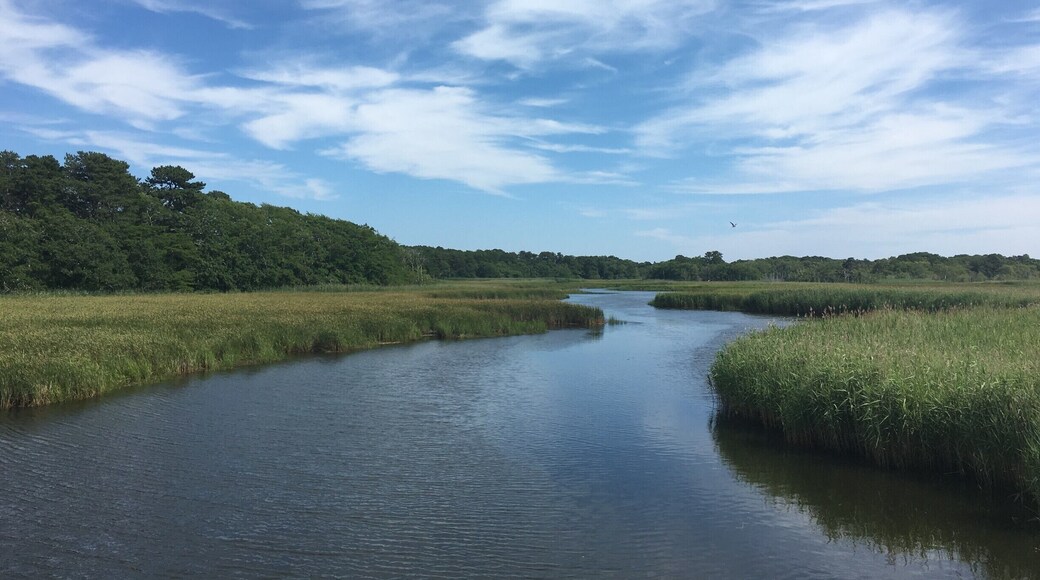 From the bridge on Bell's Neck Road.