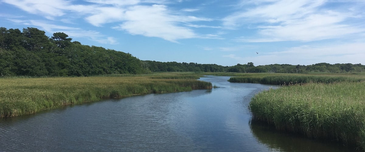 From the bridge on Bell's Neck Road.