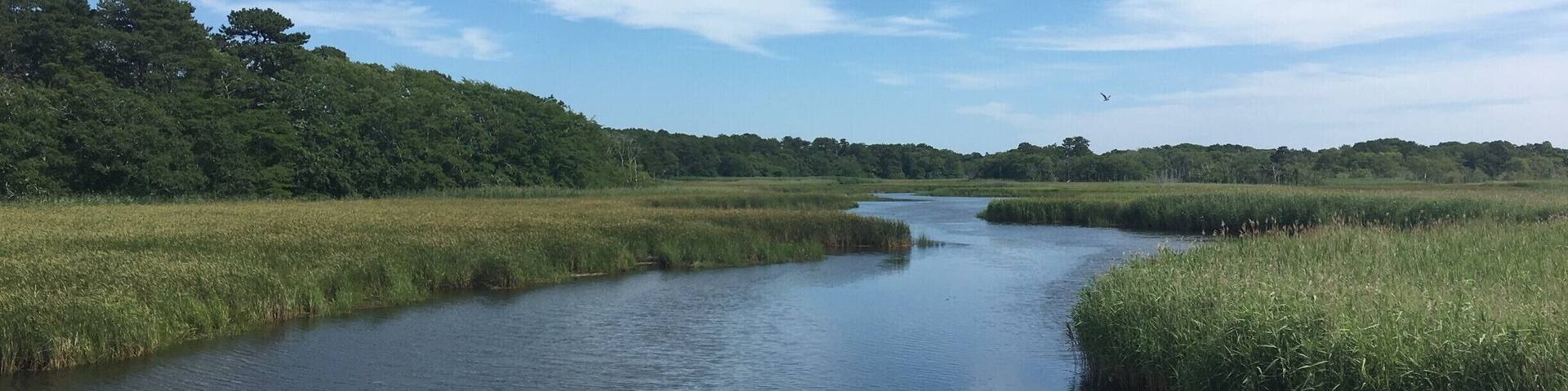 From the bridge on Bell's Neck Road.