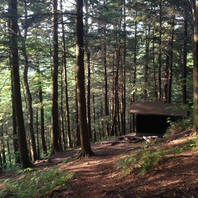 Deer Hill Shelter is a backpackers shelter, and therefore FREE, unlike the other camp areas on Mt Greylock.  It's only about a mile and half from the parking area nearest to Campground Trail.  Deer Hill Trail itself branches off from Campground Trail to take you to the shelter.  Map location is approximate since it doesn't show all the trails and the shelter is dwarfed by the surrounding forest.  First come, first serve here ... and if you show up in the middle of the week in early summer, you might get it all to yourself like we did!