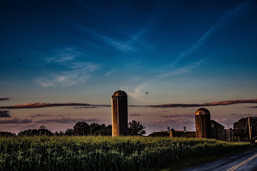 Farm life