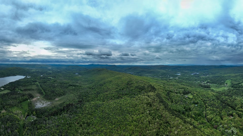 A lush green landscape with a lake and rolling hills under a cloudy sky.
