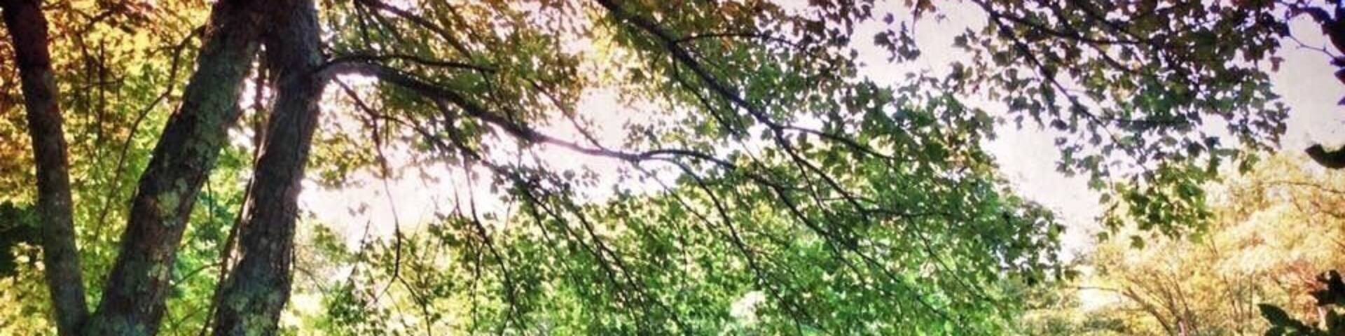 Covered bridge at the campgrounds.