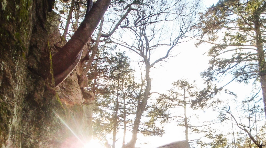 Purgatory Chasm is a fun park with huge boulders you can climb over, under, between, and around!