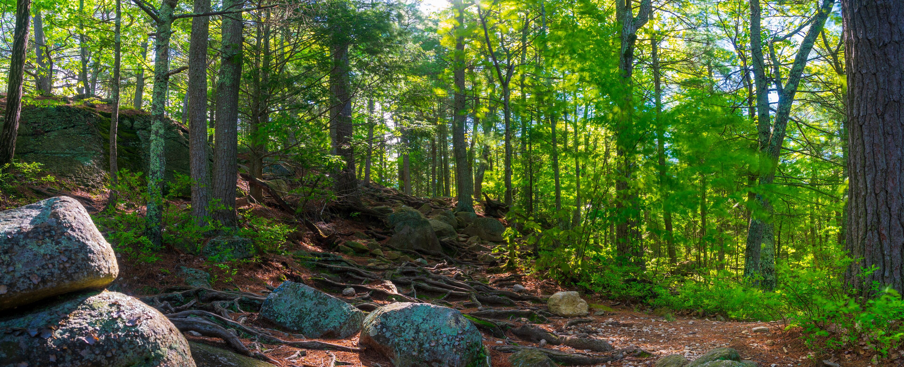 A hiking trail at Purgatory Chasm State Reservation in Sutton Massachusetts
