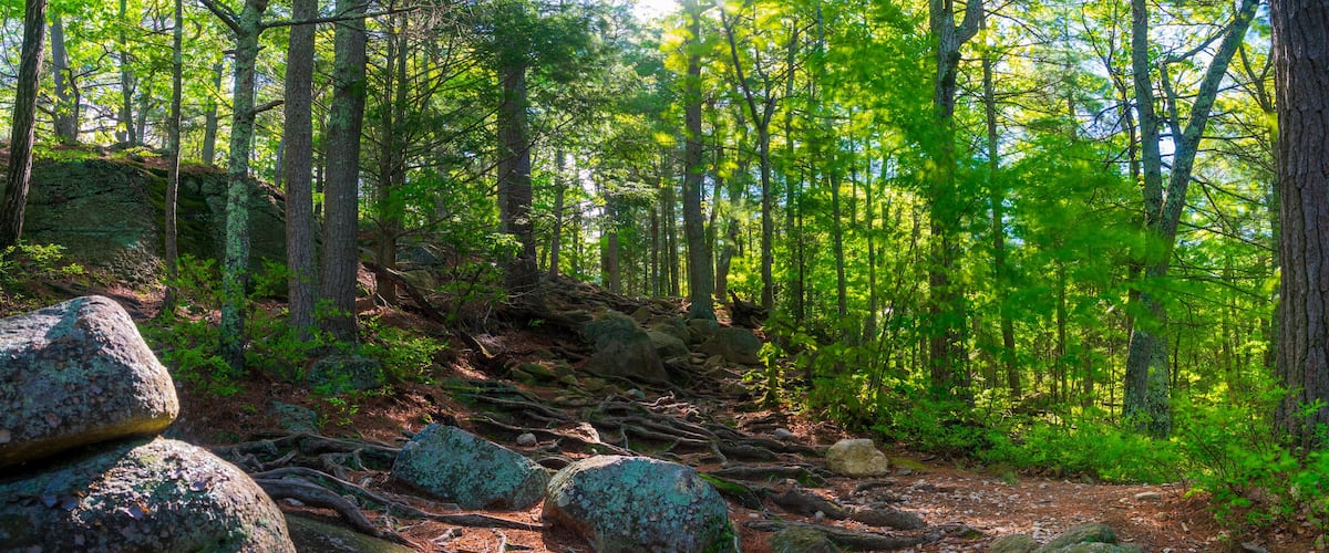 A hiking trail at Purgatory Chasm State Reservation in Sutton Massachusetts