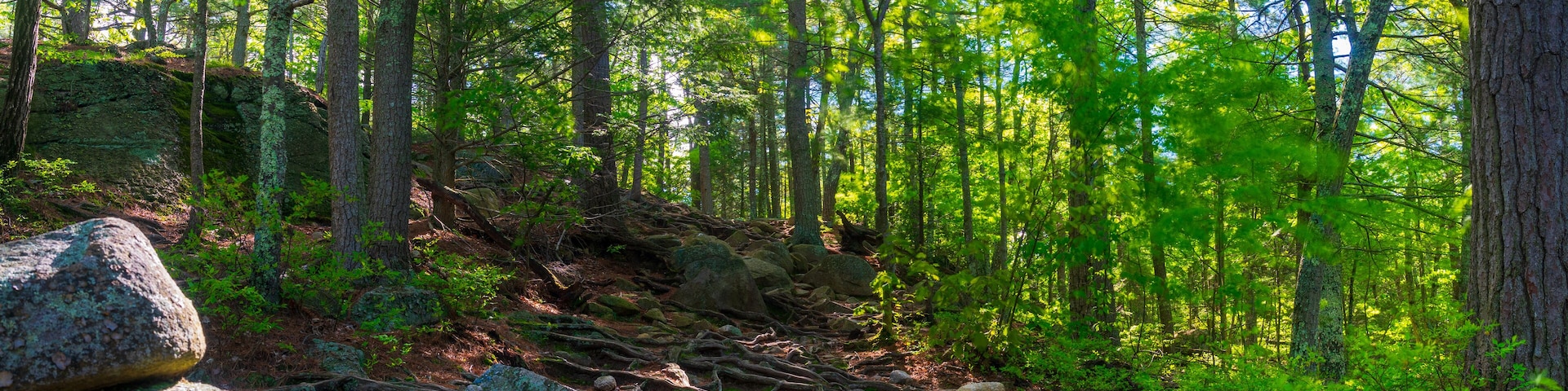 A hiking trail at Purgatory Chasm State Reservation in Sutton Massachusetts