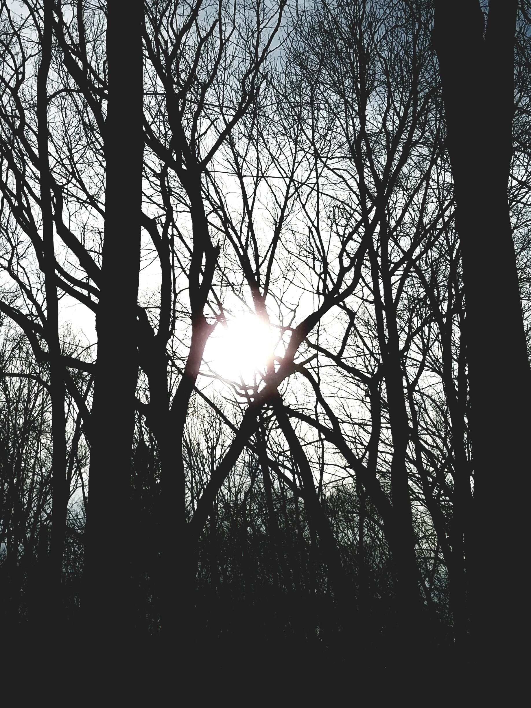 Once the world's largest shopping mall for over 30 years, now is the largest mall in North America.
#NorthAmerica #Edmonton #Alberta #Canada #LikeALocal #WestEdmontonMall #Indoor #mall #shoppingcentre #themepark #TroveOnTuesday