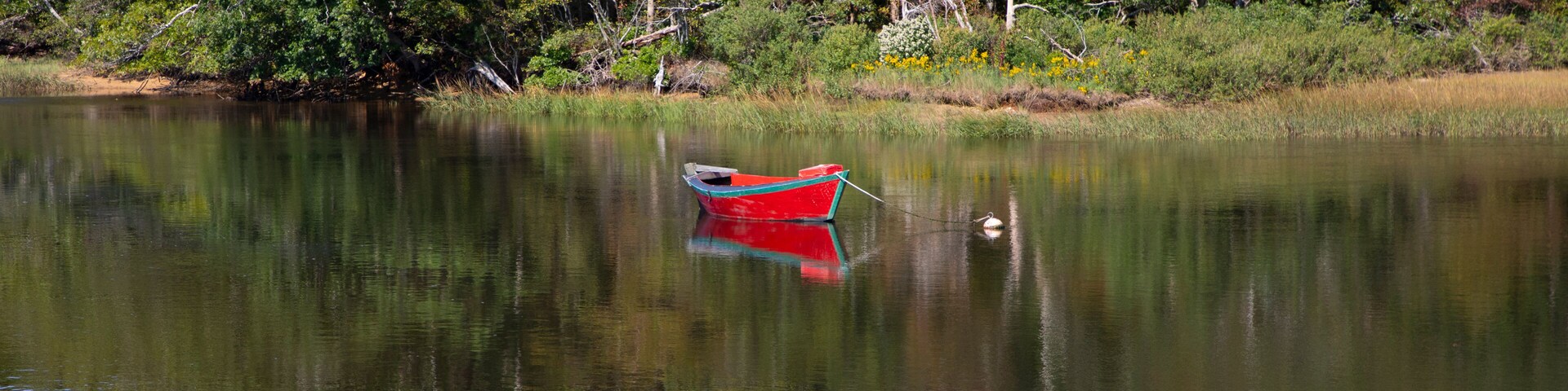 Un lago tranquilo con un pequeño bote rojo anclado cerca de la orilla, rodeado de abundante follaje y árboles.