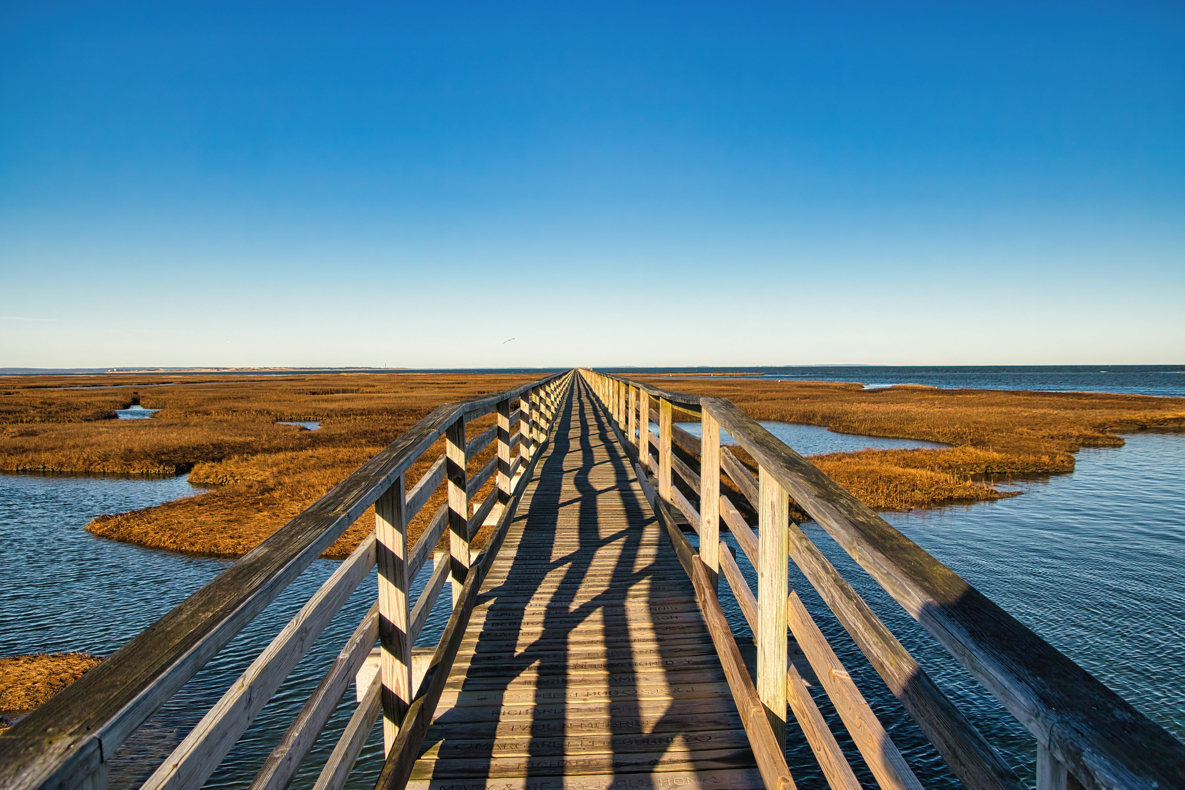 A wooden boardwalk leading to a body of water with marshy areas on either side.