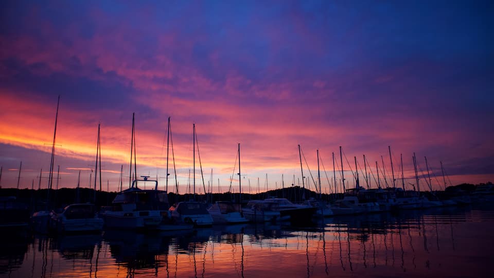 A marina at sunset with multiple sailboats docked.