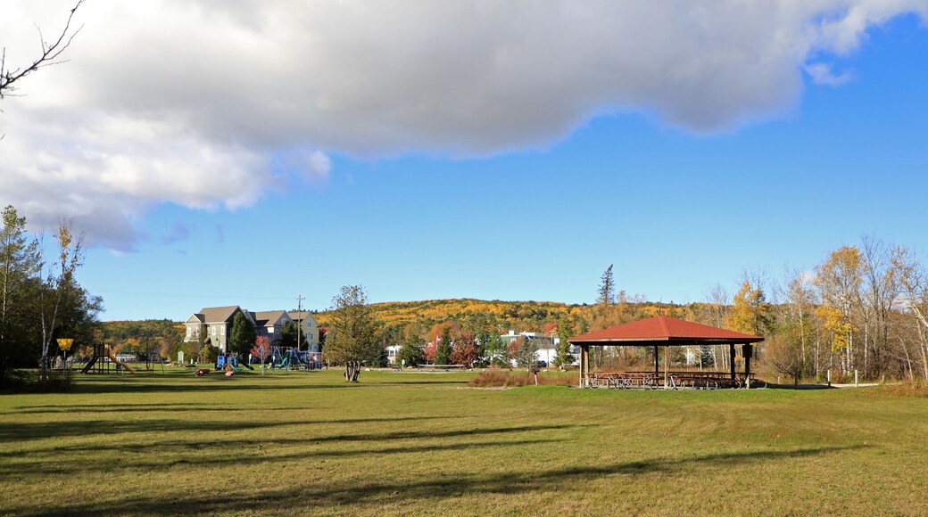 A public park in Walloon Lake Village, is near the lake, and the Bear River in Northern Michigan.