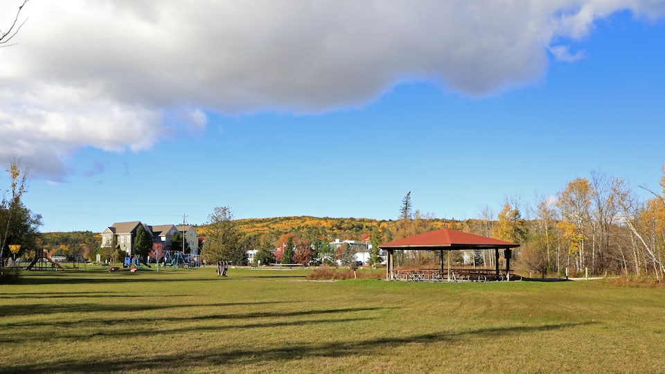 A park with a pavilion, playground, and houses in the background.