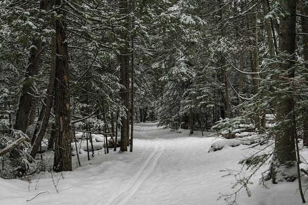 No better place to hike in the winter time then this spot. Easy hiking and or skiing in the area