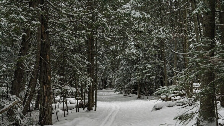No better place to hike in the winter time then this spot. Easy hiking and or skiing in the area