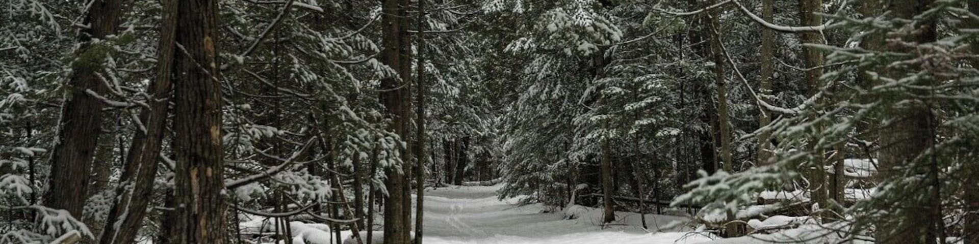 No better place to hike in the winter time then this spot. Easy hiking and or skiing in the area