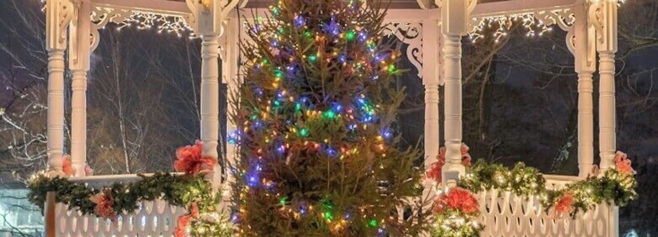 Can't miss this spot in the center of the park next to the Boyne River.  Great in the summer where they have concerts and great in the winter for the lights.