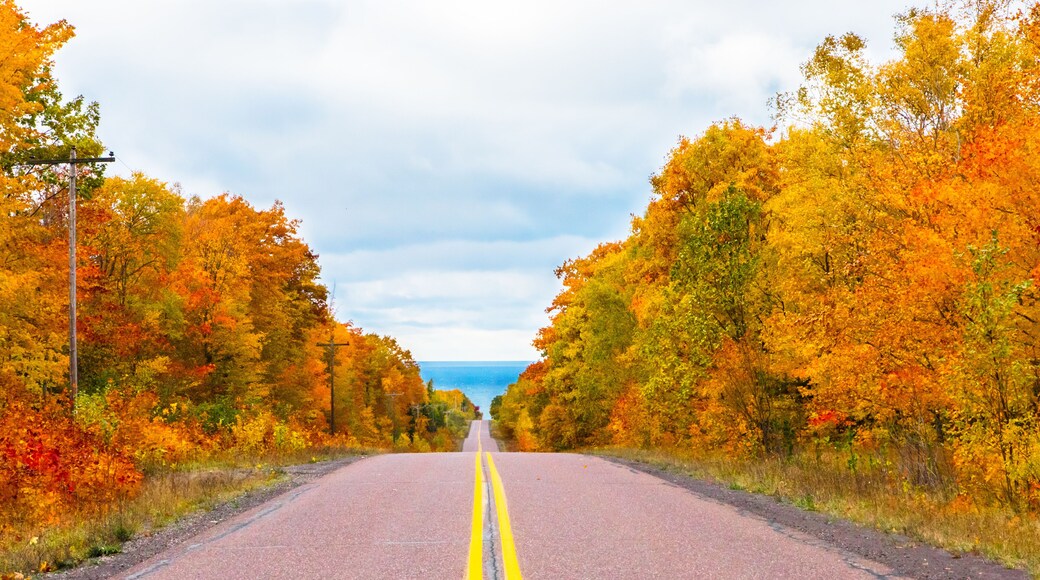 Michigan road in autumn