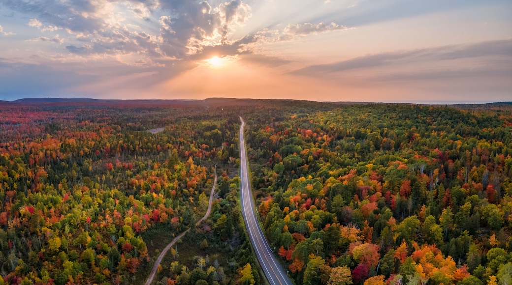 Sunset Autumn drive through the tunnel of Trees in Michigan Upper Peninsula UP - Highway 41 M26 Aerial view