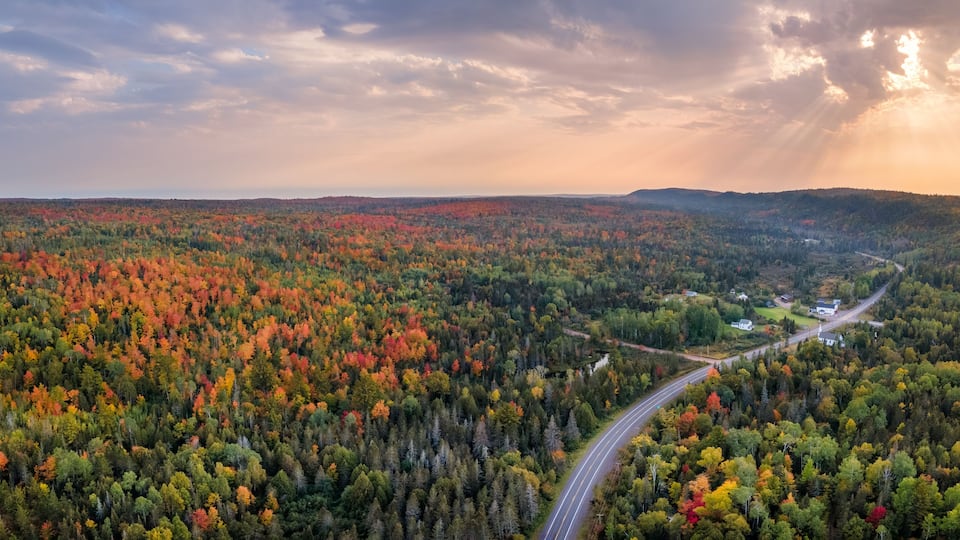 A winding road through a forested area with autumn foliage.