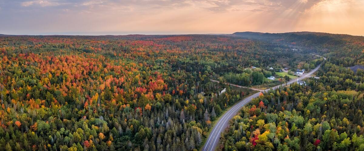 A winding road through a forested area with autumn foliage.