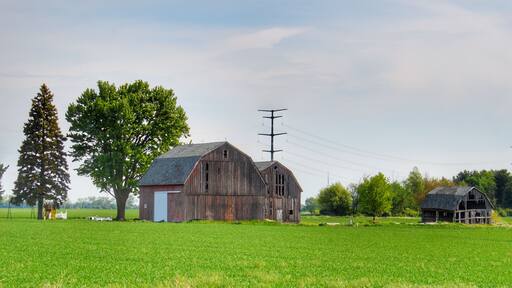 Sebewaing's Caro Road Trio Grey