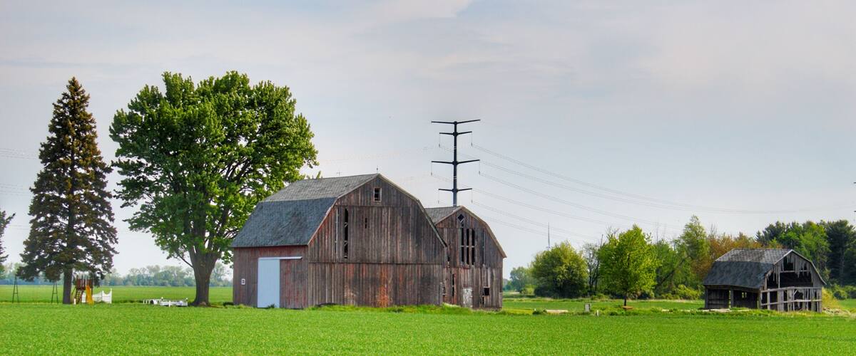 A rural landscape with a large barn, a smaller shed, and a telephone pole.