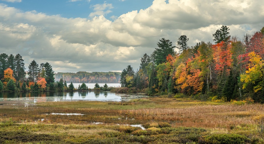 Autumn view over a marsh at Lake Michigamme from M28 Highway 41 in Michigan Upper Peninsula