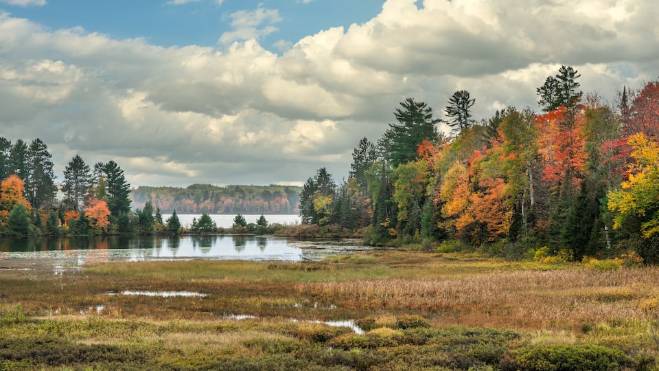 Autumn view over a marsh at Lake Michigamme from M28 Highway 41 in Michigan Upper Peninsula