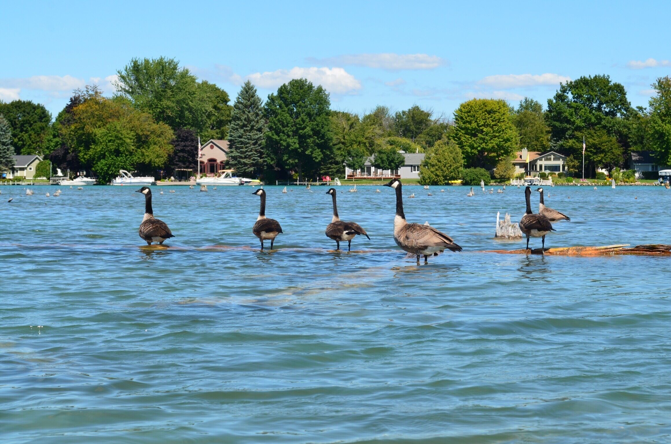 Canadians in charge of the waters. 